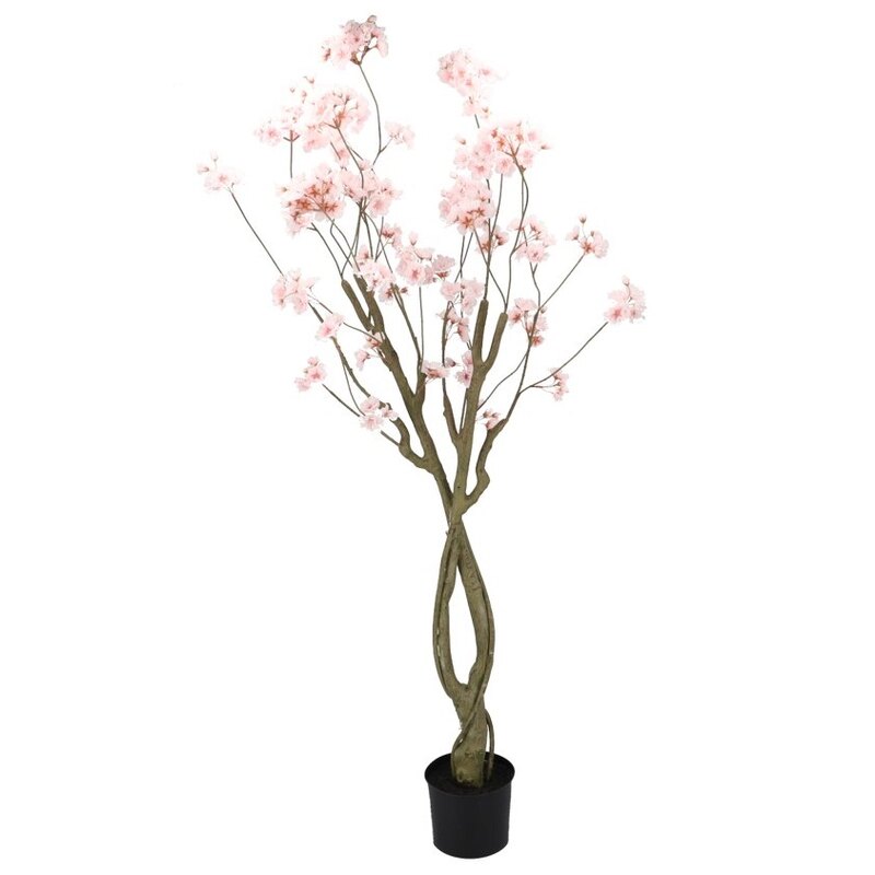 Kirsipuu roosa potis H180cm