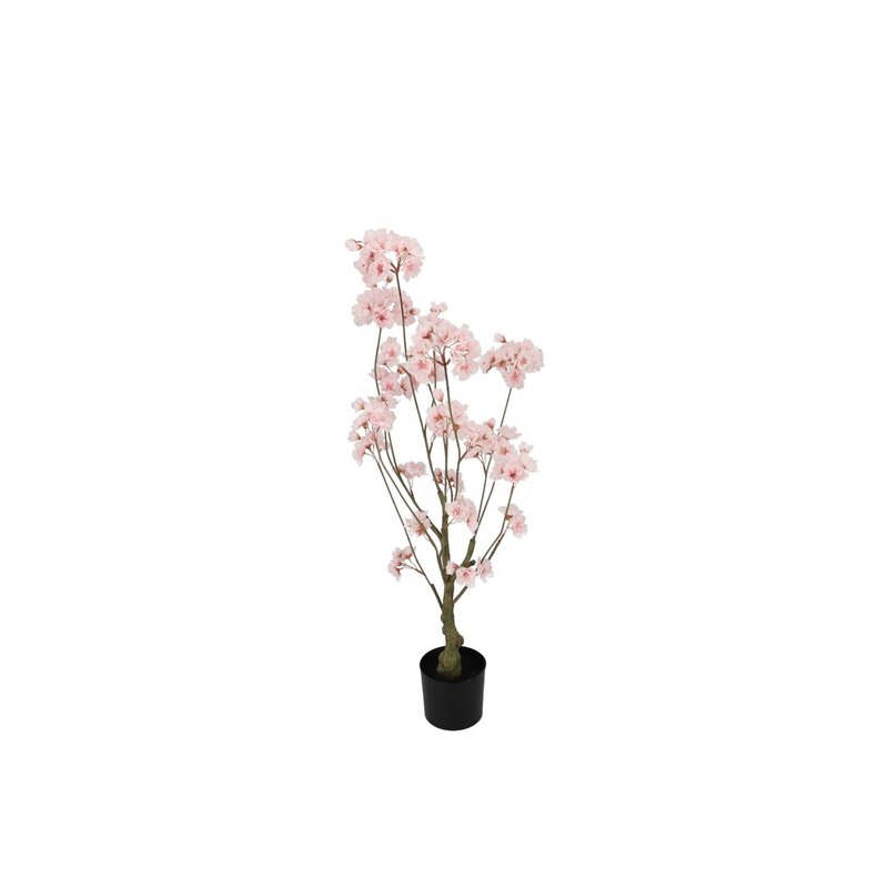 Kirsipuu roosa potis H90cm