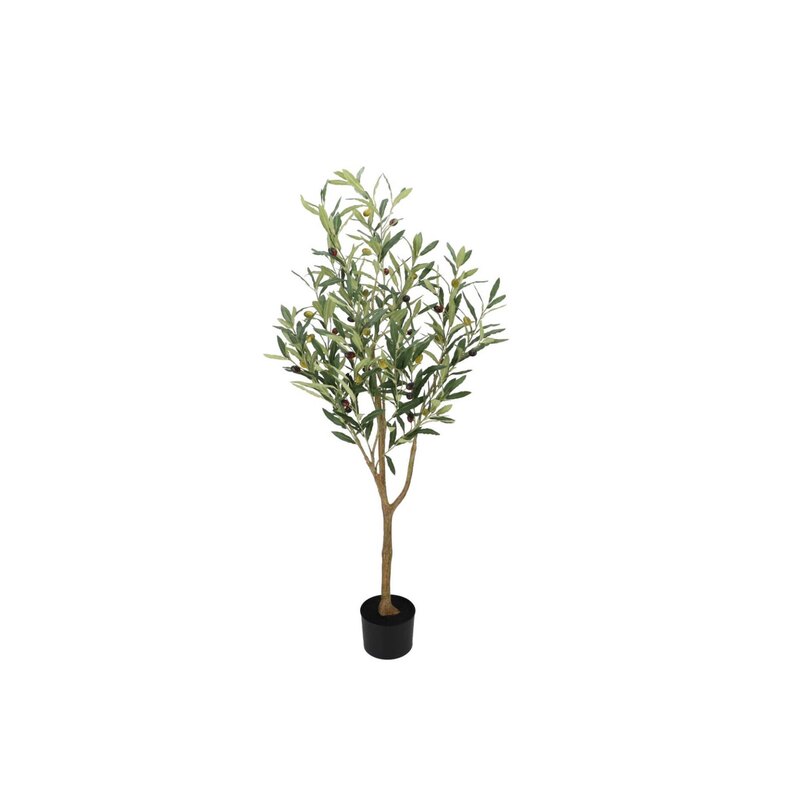 Oliivipuu potis H120cm