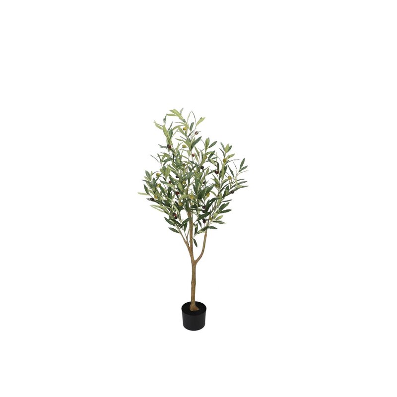 Oliivipuu potis H90cm